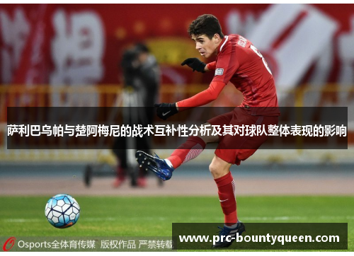 萨利巴乌帕与楚阿梅尼的战术互补性分析及其对球队整体表现的影响