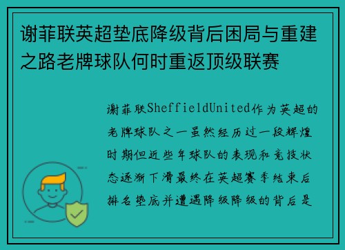 谢菲联英超垫底降级背后困局与重建之路老牌球队何时重返顶级联赛 谢菲联英超垫底降级背后困局与重建之路老牌球队何时重返顶级联赛